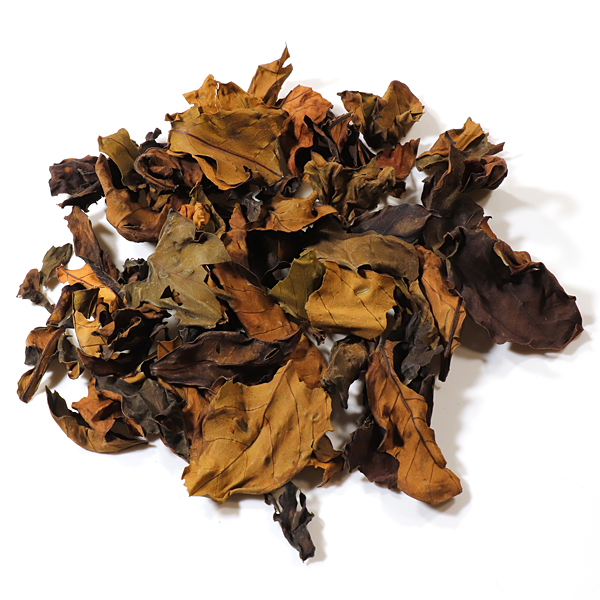 Kaffeeblatt-Tee Bourbon Natural Leaf - Bio